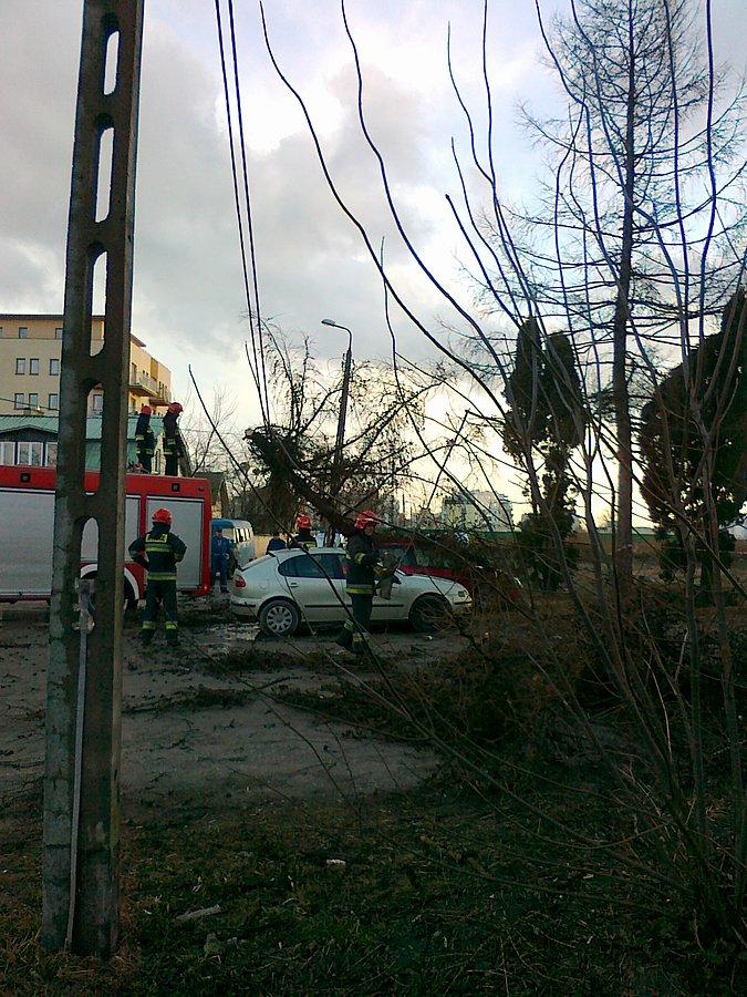 Zniszczenia po burzy. Drzewo spadło na samochód