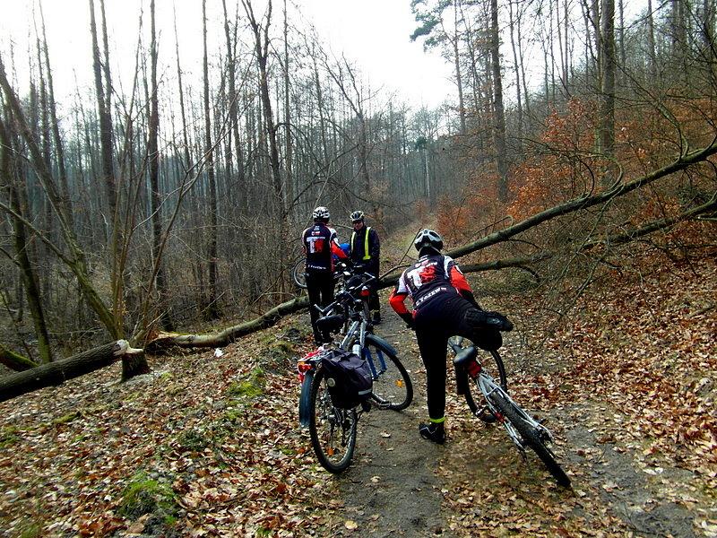 Przeszkody w lesie