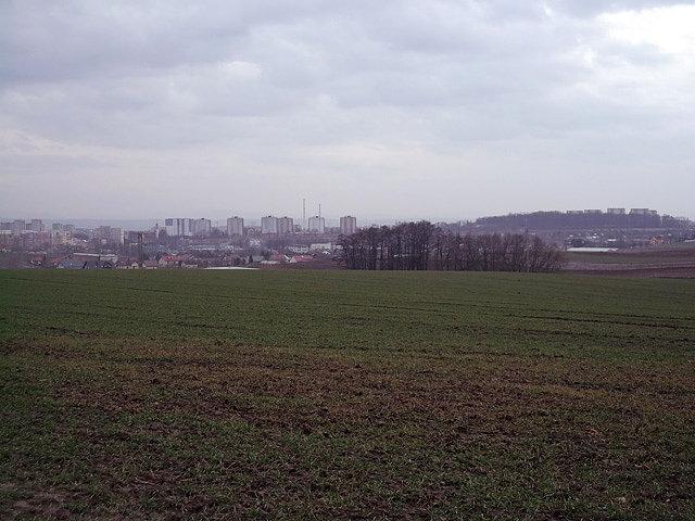 Widoczek na południe