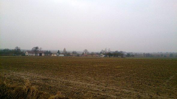 Pola koło Wierciszowa