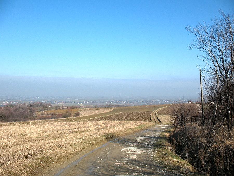 Widok z Husowskiego działu - w oddali wiatraki