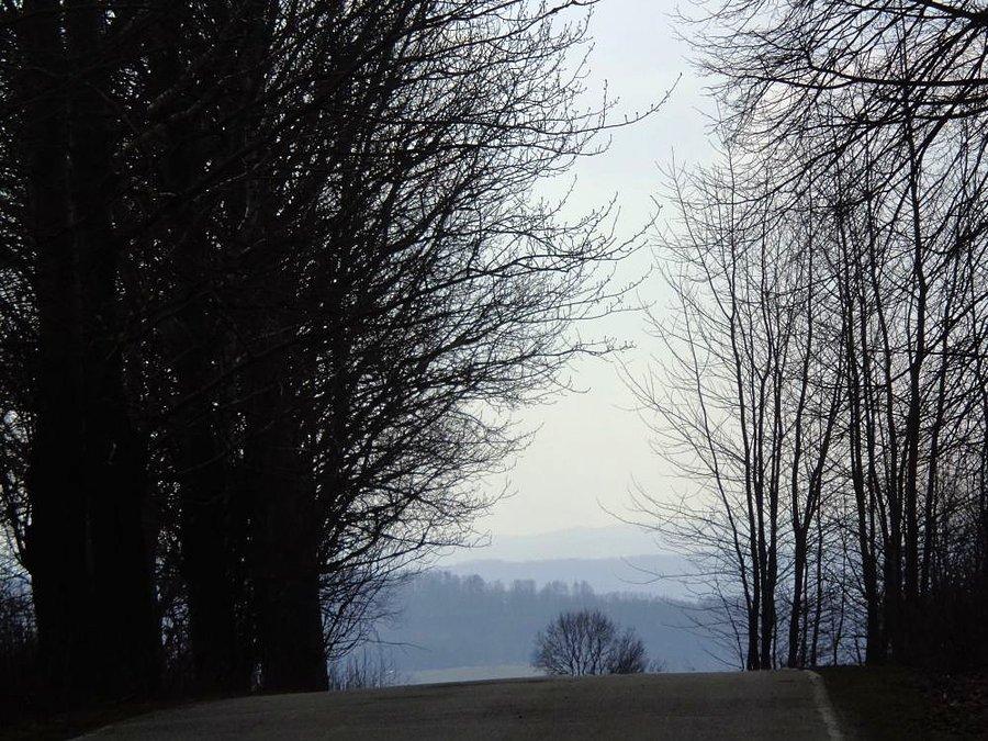 Pagórki rzeszowskie
