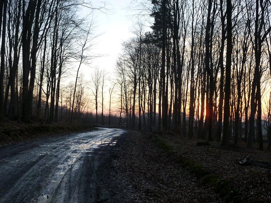 Na Przylasku