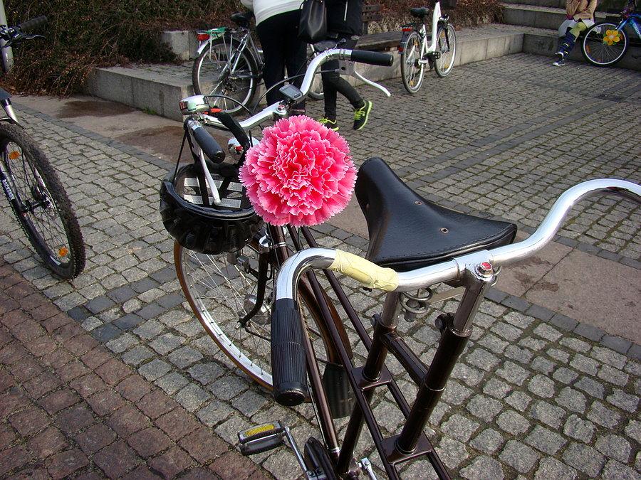 Rowerowy Dzień Kobiet 2015 Szczecin - dekoracje rowerów