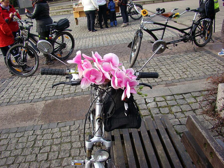 Rowerowy Dzień Kobiet 2015 Szczecin - wszędzie kwiatowe dekoracje