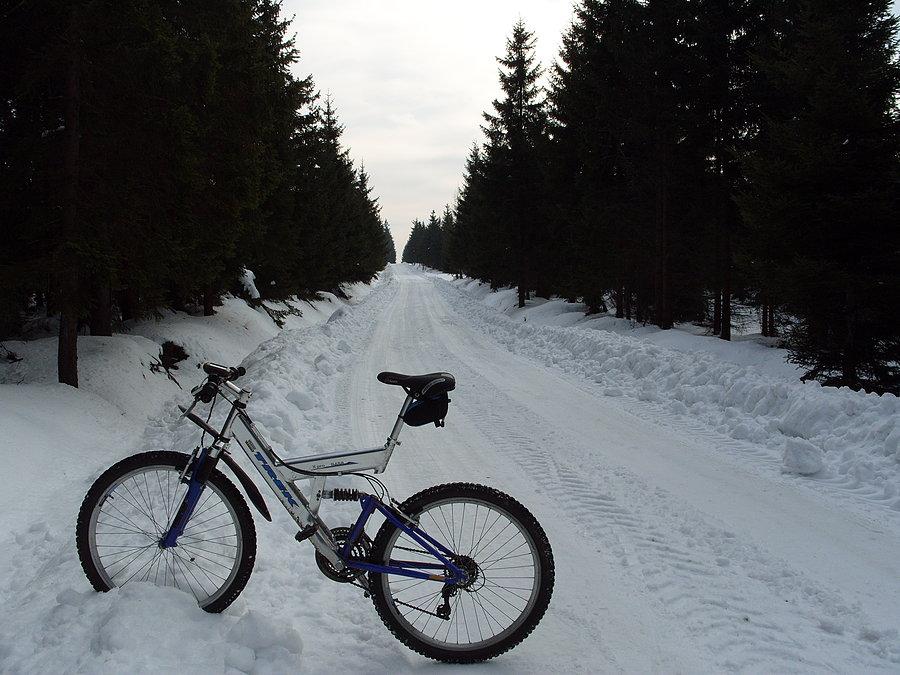 Parking dla rowerzystów