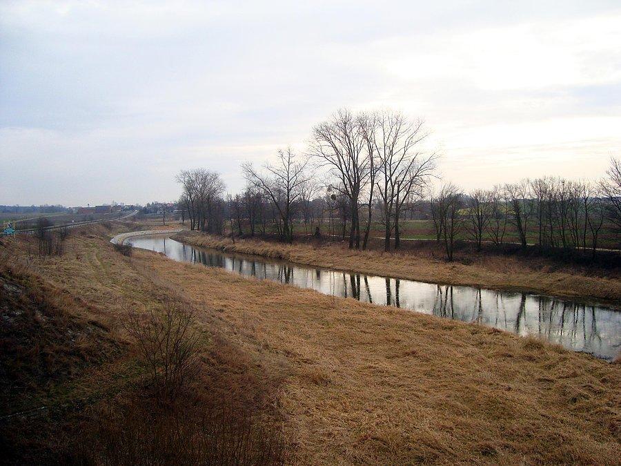 Prosna