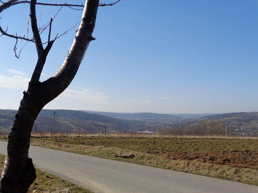Lubenia z góty