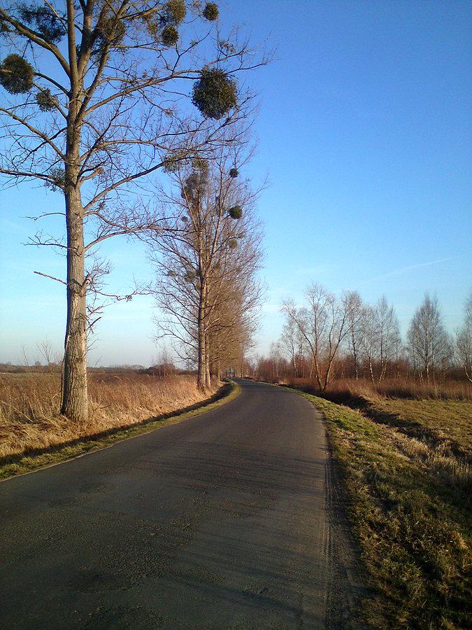 Dobrzyń - Lubsza