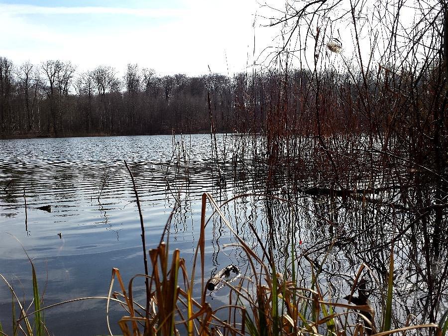 Jezioro Węglino
