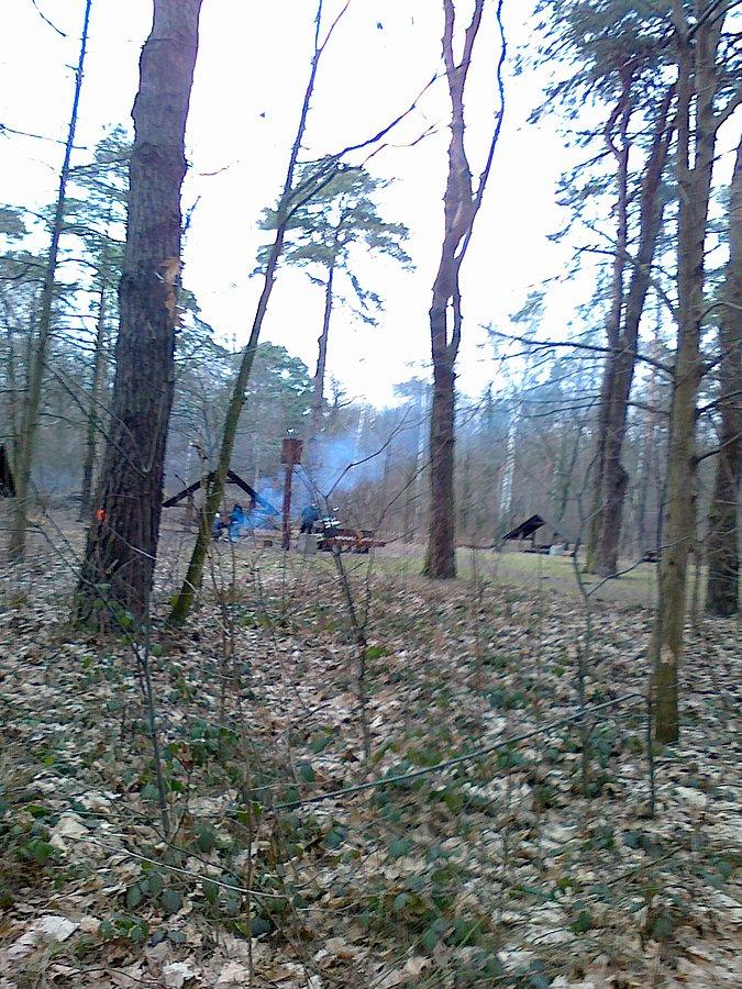 Ogniska palą na polanie