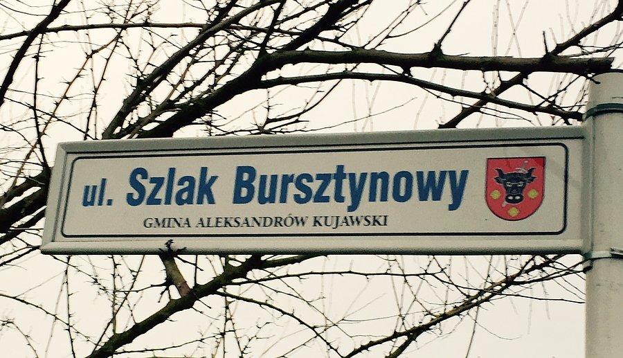 Piękna scieżka łączy Ciechocinek z Toruniem polecam