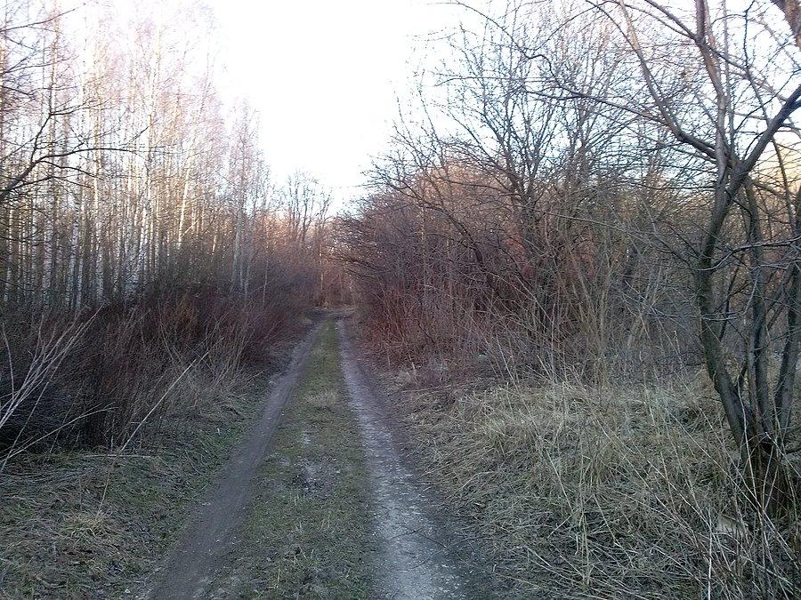 Las za widoku wygląda zupełnie inaczej :)