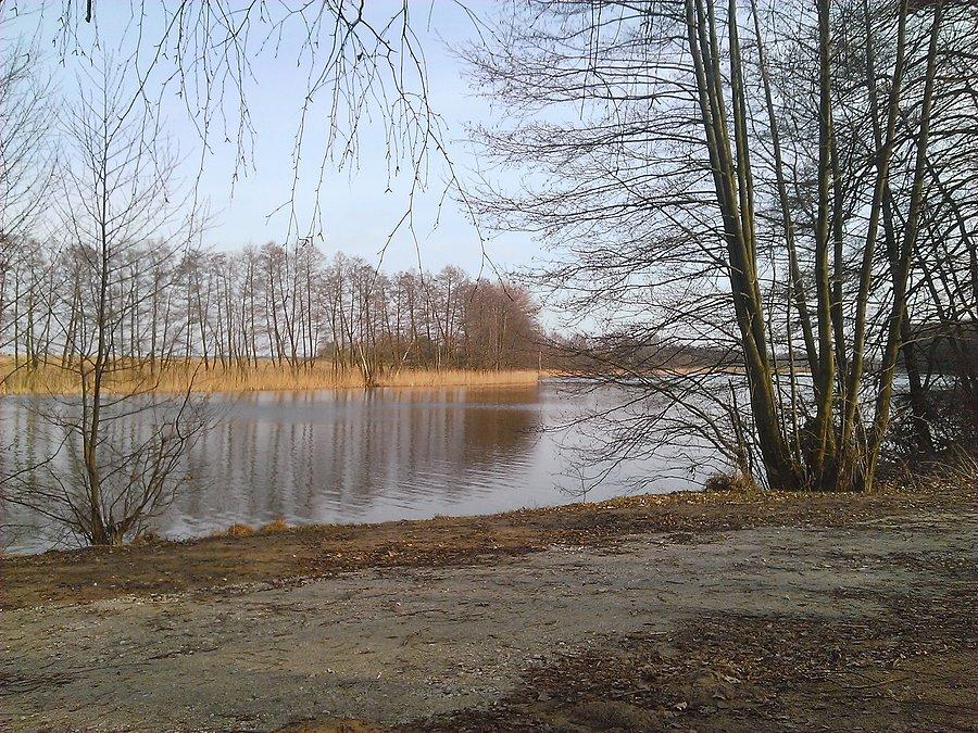 J. Chomęcickie