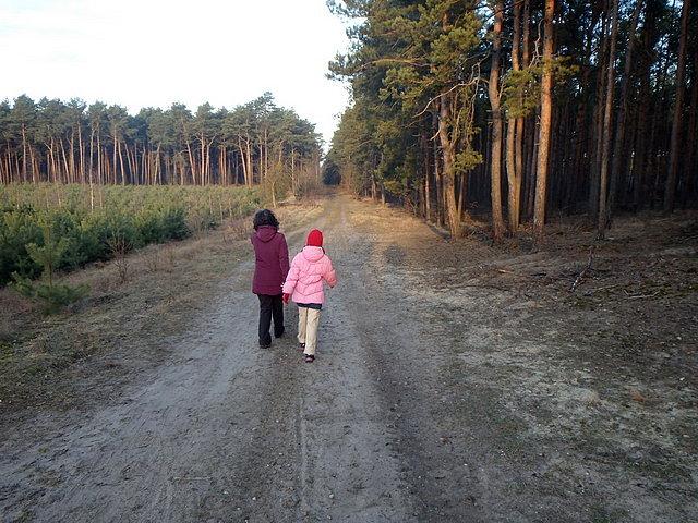 Na Szlaku Brdy
