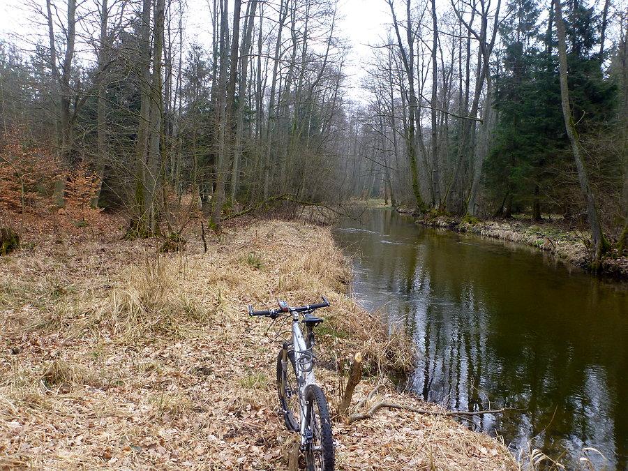 Nad Brzeźnicką Węgorzą 53°35'23.5"N 15°37'37.7"E