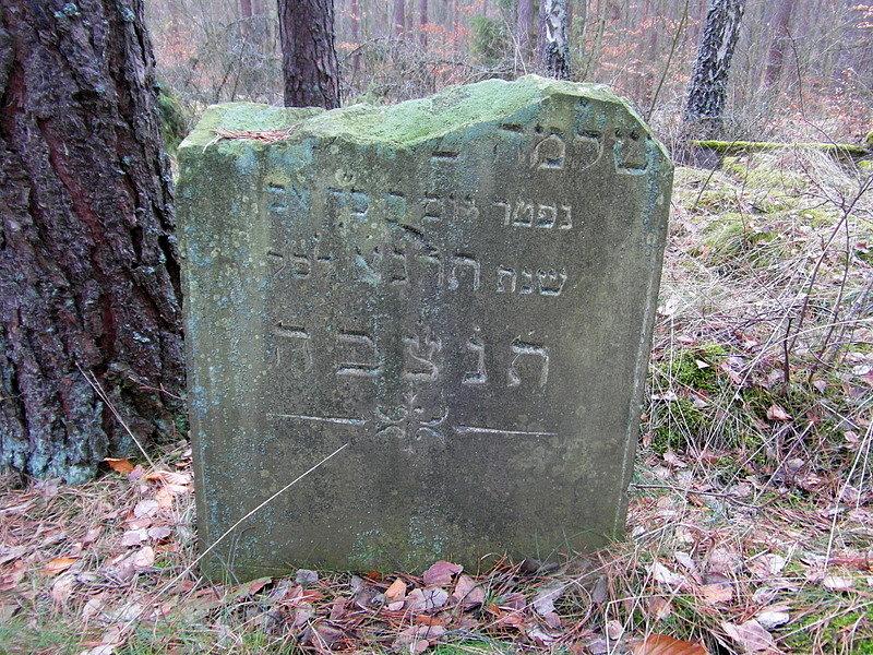 Cmentarz żydowski w Skarszewach