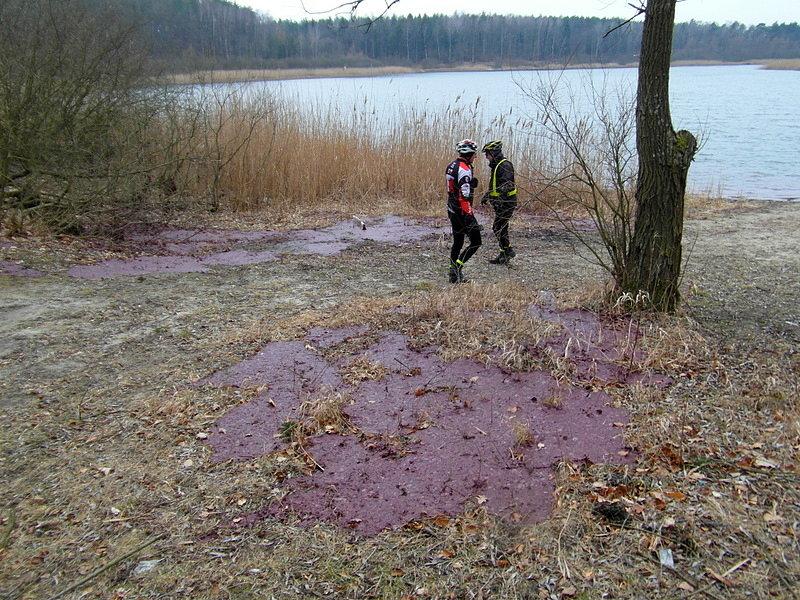 Jezioro Borówno Małe nadal w kolorze fioletowym