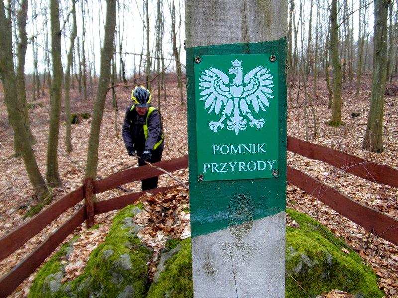 Pomnik przyrody
