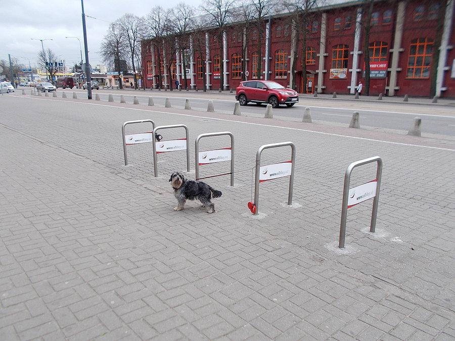 Strażnik stojaków