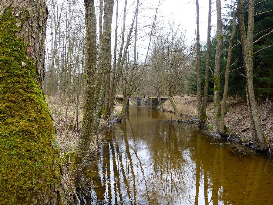 Jest też jakiś przepust wody 53°33'49.5"N 15°55'01.8"E