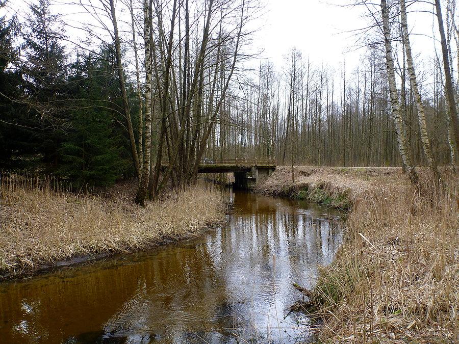 Simplon nad Kokną 53°33'47.4"N 15°54'59.5"E