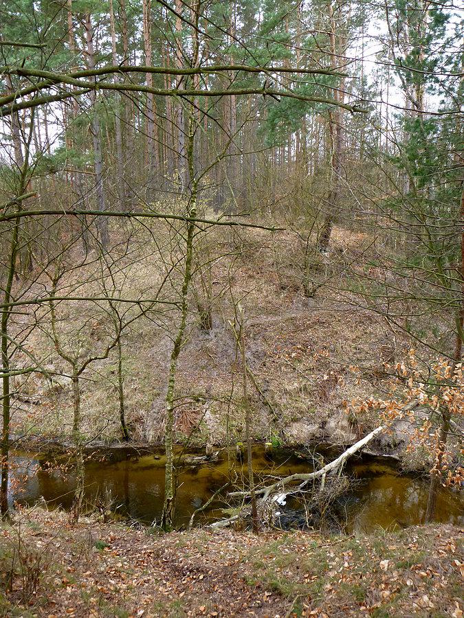 Nasypy pod RAB4 są, tylko mostu nad Kokną brak 53°33'58.1"N 15°55'07.5"E