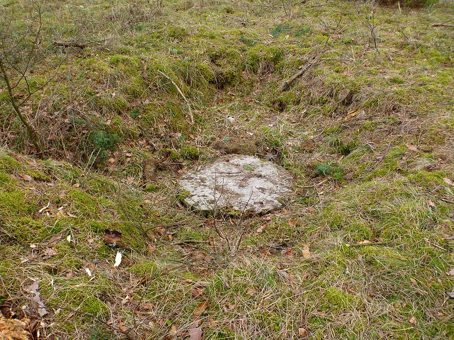 A na środku nad strumieniem studzienka, do której jednak nie zajrzałem 53°34'09.6"N 15°57'38.9"E