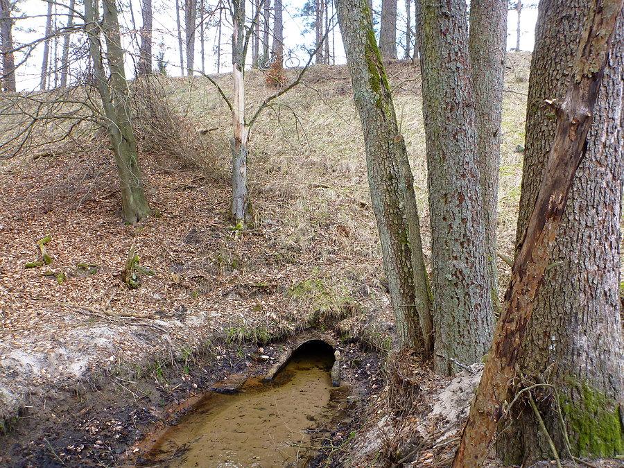 Strumień pod Berlinką 53°34'09.6"N 15°57'38.9"E