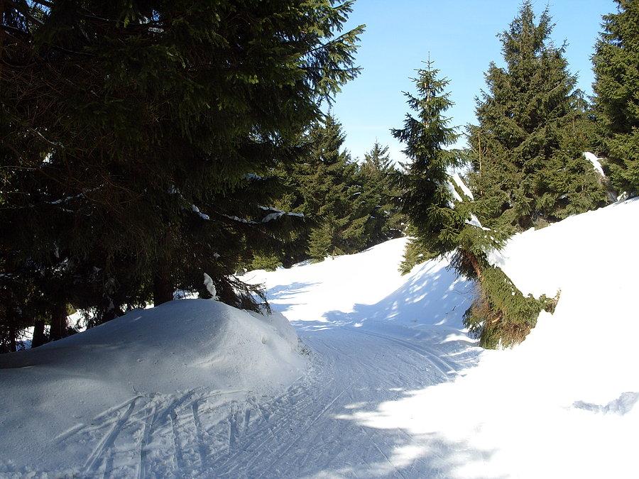 I tak było, piękne słońce, świetna temperatura, super atmosfera