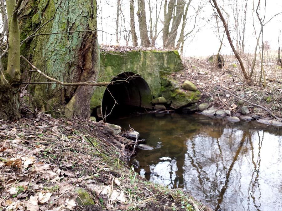 Rzeka Małka