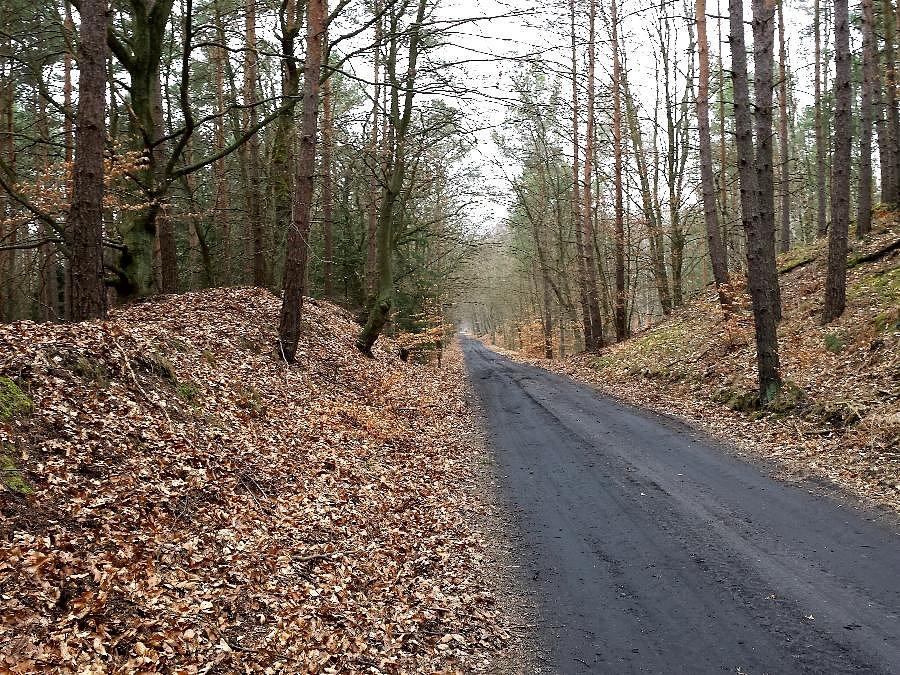 Rowerostrada do Bącznika