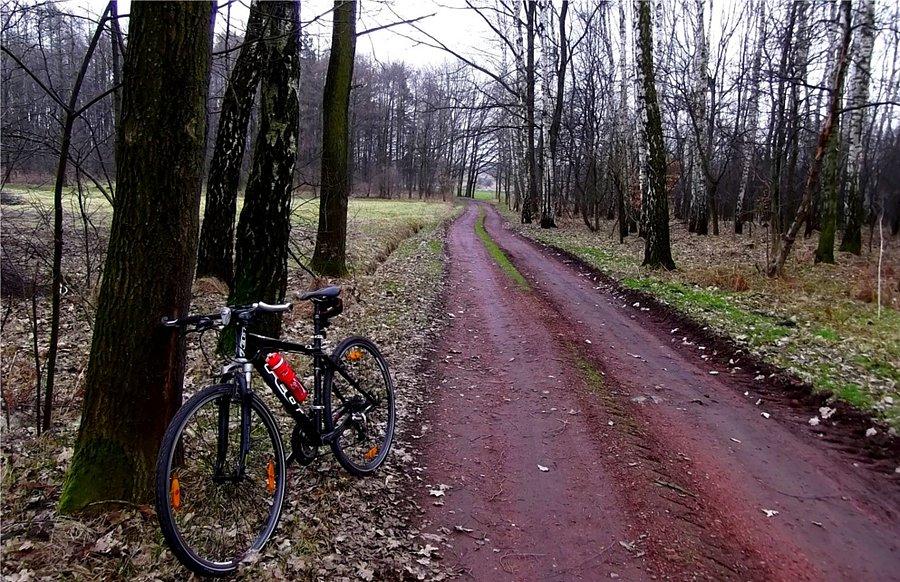 Okolice Czyżowic