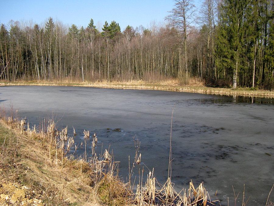 Zima na zdjęciu