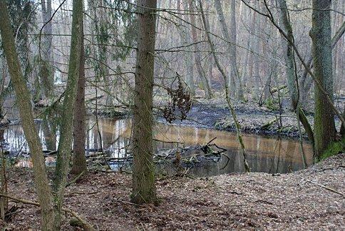 Rezerwat ten ma pow. 85,89 ha i utworzony został w roku 2006
