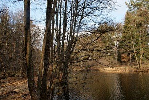 Pięknie tutaj