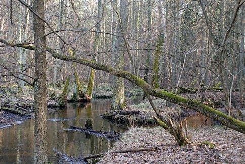 Nieodkryte zakątki Gaci