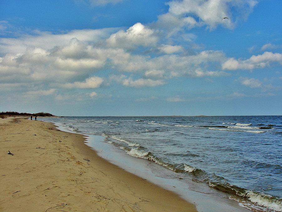 Plaża w Mikoszewie