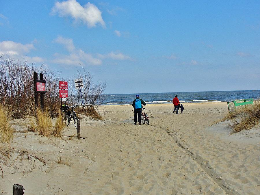 Plaża w Mikoszewie