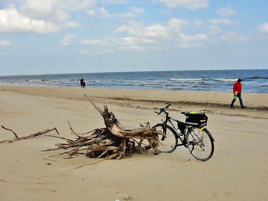 Plaża w Mikoszewie