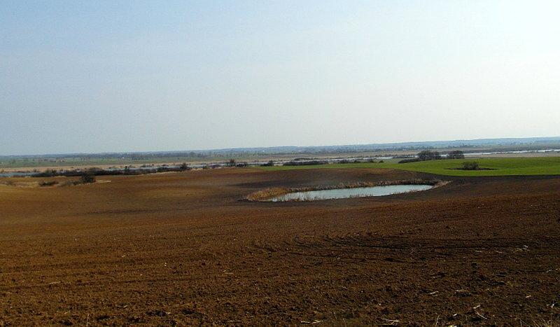 Wiosenny widoczek