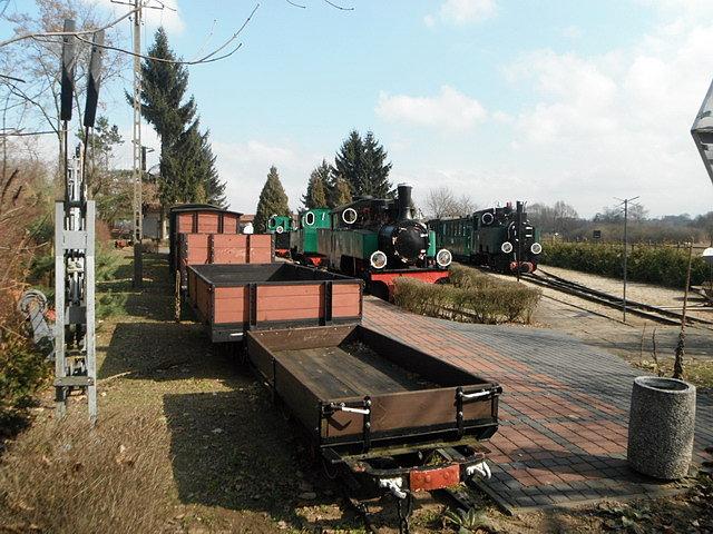 Eksponaty Muzeum Kolejki Wąskotorowej w Wenecji