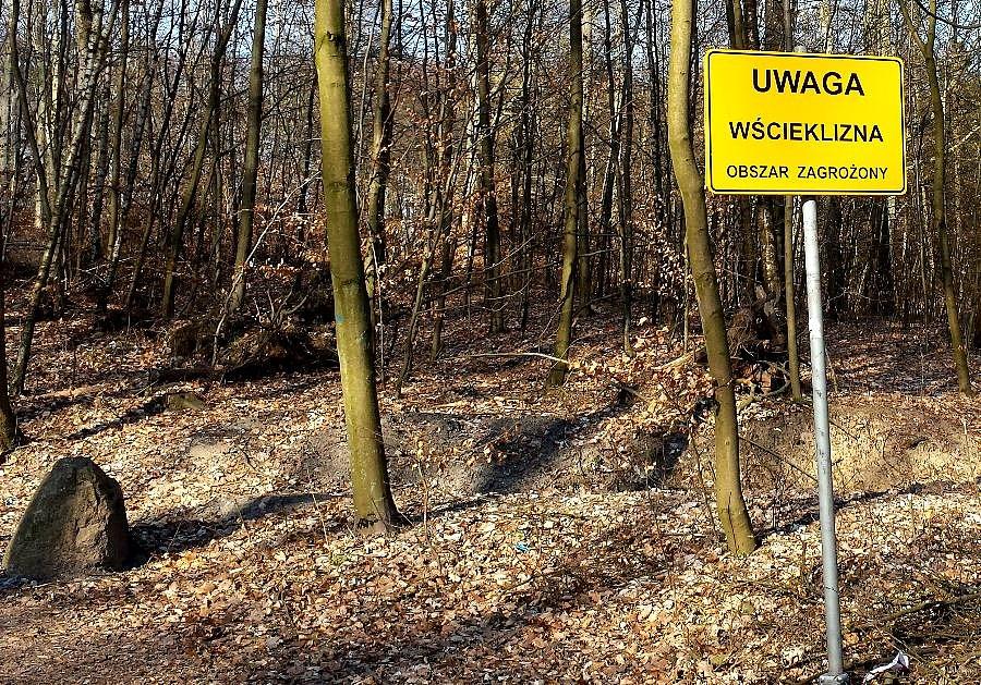 Nowy ostrzegawczy na Bukowej