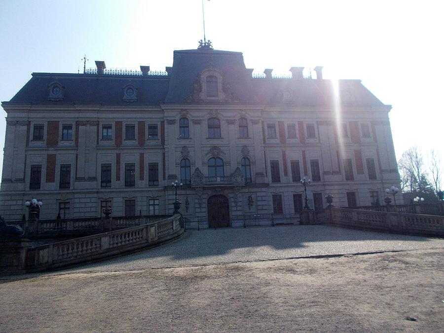 Pszczyna