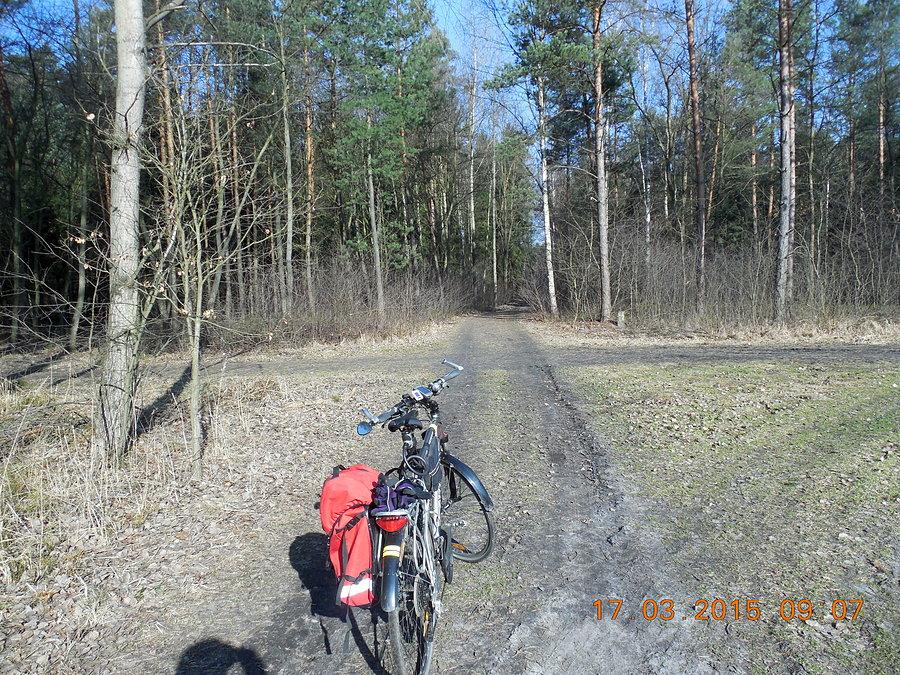 Na rozstaju leśnych dróg - droga pożarowa nr 6