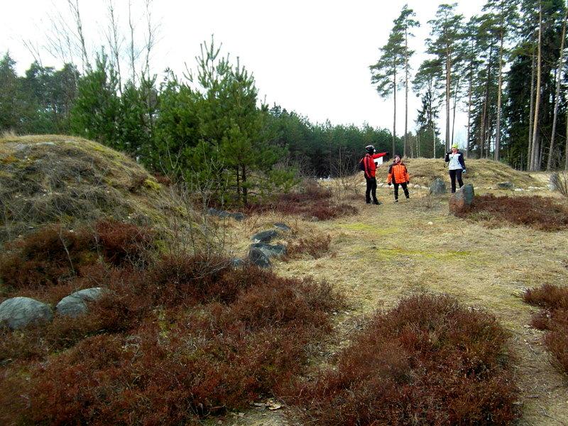 Kamienne Kręgi w Trątkownicy