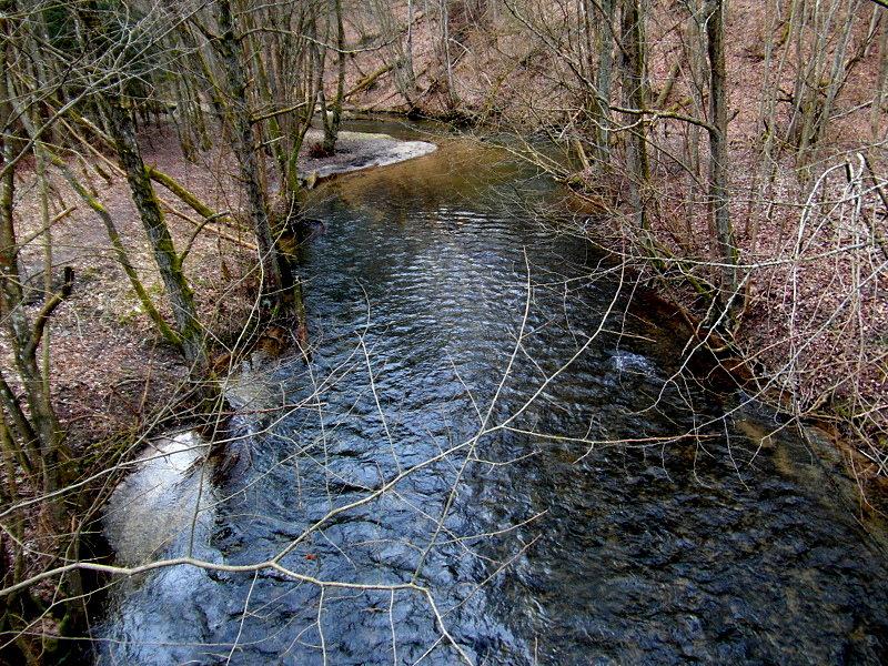 Rzeka Radunia