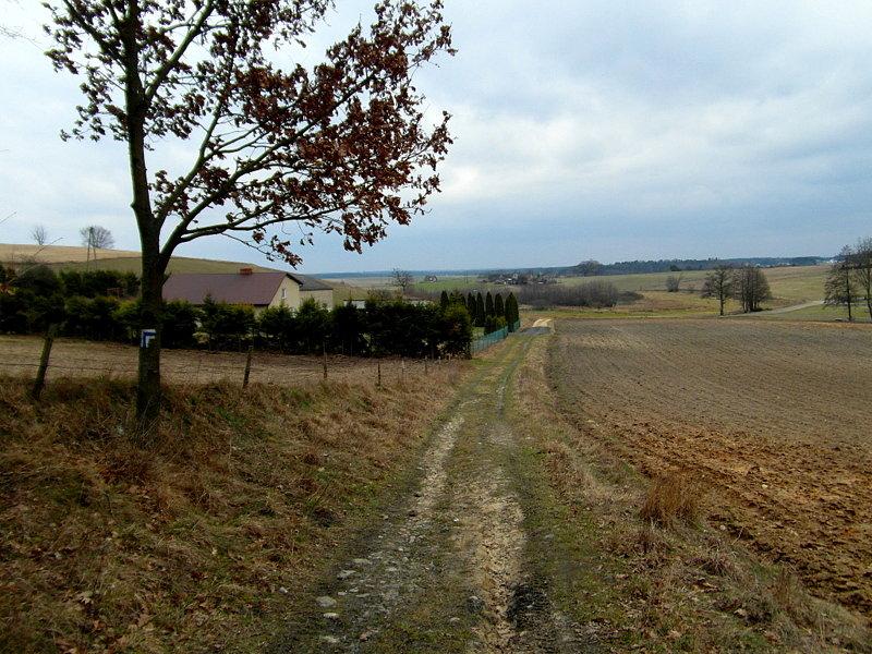 Widok na pola w Mezowie