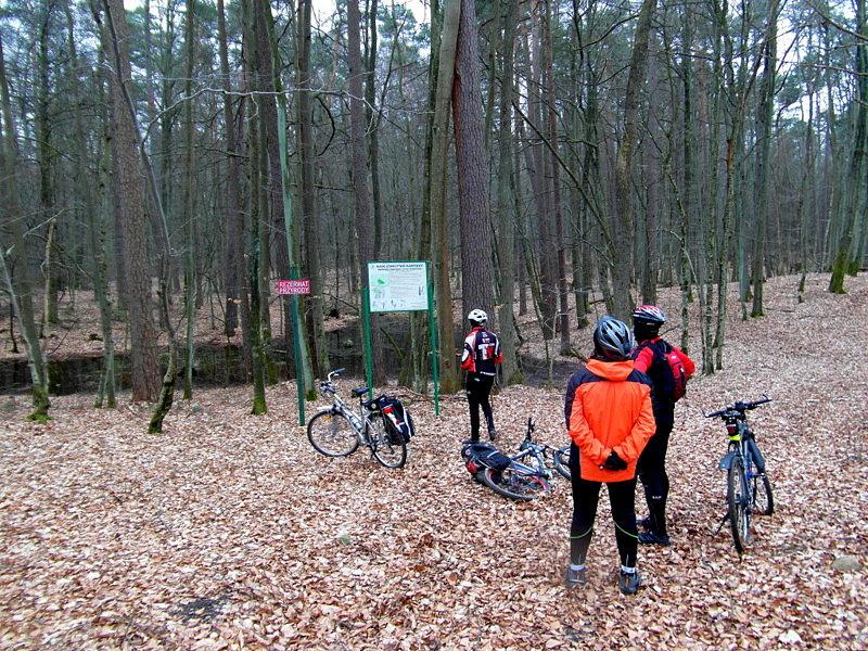Rezerwat Przyrody „Stare Modrzewie”