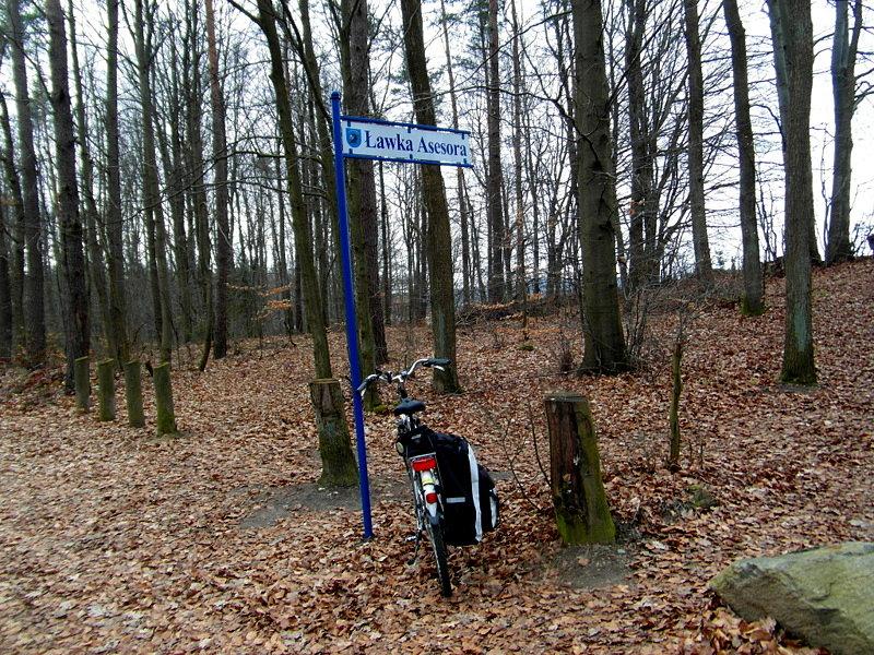 Punkt widokowy Ławka Asesora w Kartuzach